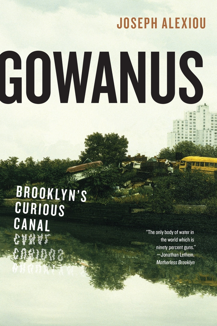 Cover image for Gowanus ISBN 9781479806058